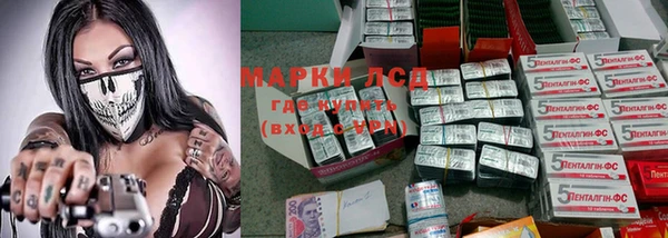 прущие крисы Вязьма