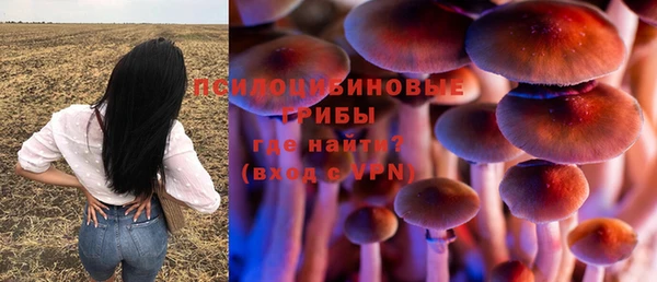 прущие крисы Вязьма