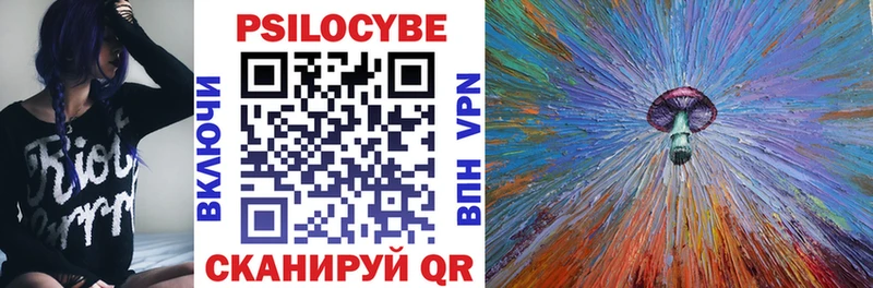 цены   Бердск  Псилоцибиновые грибы Psilocybine cubensis 